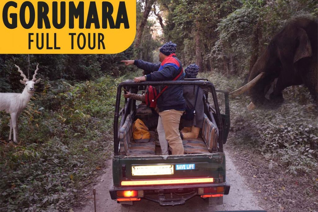 gorumara jungle safari booking